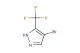 4-bromo-5-(trifluoromethyl)-1H-pyrazole