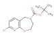 tert-butyl 8-chloro-2,3-dihydropyrido[3,2-f][1,4]oxazepine-4(5H)-carboxylate