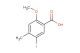 5-iodo-2-methoxy-4-methylbenzoic acid
