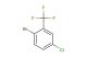 2-bromo-5-chlorobenzotrifluoride