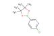 2-chloro-5-(4,4,5,5-tetramethyl-1,3,2-dioxaborolan-2-yl)pyridine