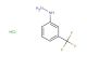 3-(trifluoromethyl)phenylhydrazine hydrochloride