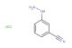 3-cyanophenyl hydrazine hydrochloride