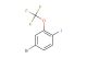 4-bromo-2-(trifluoromethoxy)iodobenzene