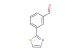 3-thiazol-2-yl-benzaldehyde