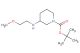 3-(2-methoxyethylamino)piperidine-1-carboxylic acid tert-butyl ester