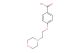 4-(2-morpholin-4-yl-ethoxy)-benzoic acid