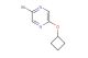 2-bromo-5-cyclobutoxypyrazine
