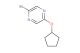 2-bromo-5-cyclopentyloxypyrazine