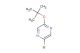 2-bromo-5-tert-butoxypyrazine