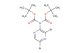 tert-butyl N-[(tert-butoxy)carbonyl]-N-(3,5-dibromopyrazin-2-yl)carbamate