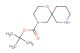tert-butyl11-oxa-4,8-diazaspiro[5.5]undecane-8-carboxylate