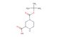 4-(tert-butoxycarbonyl)piperazine-2-carboxylic acid