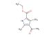 ethyl 4-acetyl-3,5-dimethyl-1H-pyrrole-2-carboxylate