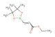 ethyl 3-(tetramethyl-1,3,2-dioxaborolan-2-yl)prop-2-enoate