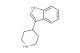 3-(piperidin-4-yl)-1H-indole