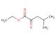 ethyl 4-methyl-2-oxopentanoate