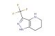 3-(trifluoromethyl)-1H,4H,5H,6H,7H-pyrazolo[4,3-b]pyridine