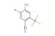 4-amino-5-bromo-2-(trifluoromethyl)benzonitrile