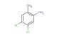 4,5-dichloro-2-methylaniline