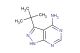 3-tert-butyl-1H-pyrazolo[3,4-d]pyrimidin-4-amine