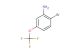 2-bromo-5-(trifluoromethoxy)aniline