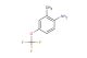 2-methyl-4-(trifluoromethoxy)aniline