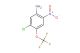 5-chloro-2-nitro-4-(trifluoromethoxy)aniline