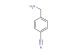 4-cyanobenzylamine