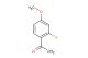 2'-fluor-4'-methoxyacetophenone