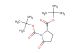 Boc-Pyr(OtBu)-OH