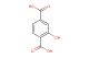 2-hydroxybenzene-1,4-dicarboxylic acid