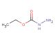 ethoxycarbohydrazide
