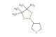 4,4,5,5-tetramethyl-2-(tetrahydro-3-furanyl)-1,3,2-dioxaborolane