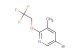 5-bromo-3-methyl-2-(2,2,2-trifluoroethoxy)pyridine