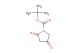 tert-butyl 2,4-dioxopyrrolidine-1-carboxylate