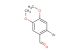 2-bromo-4,5-dimethoxybenzaldehyde