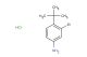 3-bromo-4-(tert-butyl)aniline hydrochloride