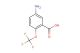 5-amino-2-(trifluoromethoxy)benzoic acid
