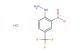 (2-nitro-4-(trifluoromethyl)phenyl)hydrazine hydrochloride