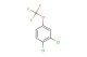 3,4-dichloro-1-trifluoromethoxy-benzene