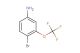 4-bromo-3-(trifluoromethoxy)aniline