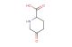5-oxo-piperidine-2-carboxylic acid