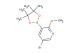 5-bromo-2-methoxy-3-(4,4,5,5-tetramethyl-1,3,2-dioxaborolan-2-yl)pyridine