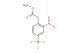 methyl 2-(2-nitro-4-(trifluoromethyl)phenyl)acetate