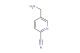 5-aminomethyl-pyridine-2-carbonitrile