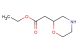 ethyl 2-(morpholin-2-yl)acetate