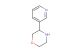3-pyridin-3-yl-morpholine