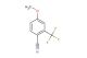 4-methoxy-2-(trifluoromethyl)benzonitrile