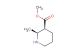 methyl (2S,3S)-2-methyl-piperidine-3-carboxylate